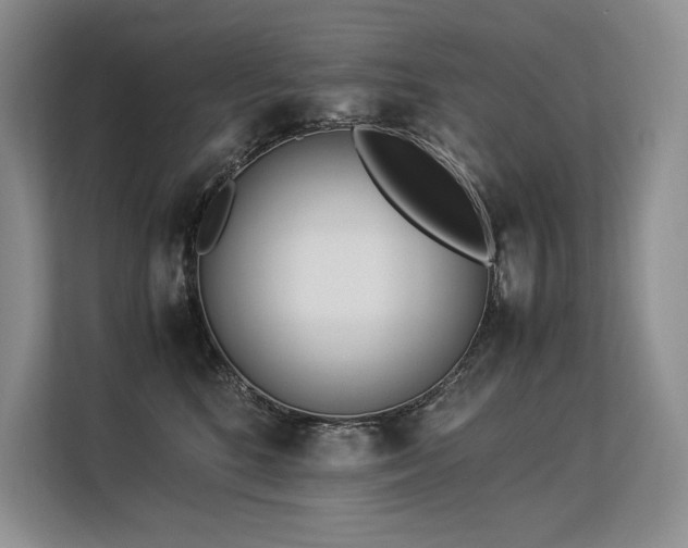 X0000113560520200909181222