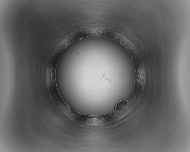 X0000113560522200909181222