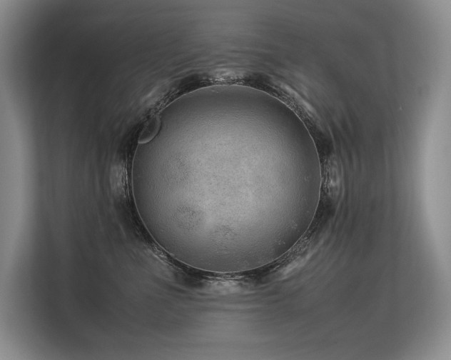 X0000113560523200909181222