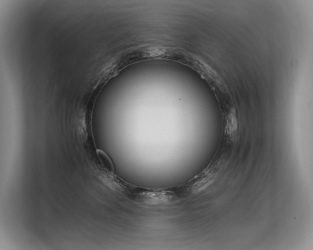X0000113560524200909181222