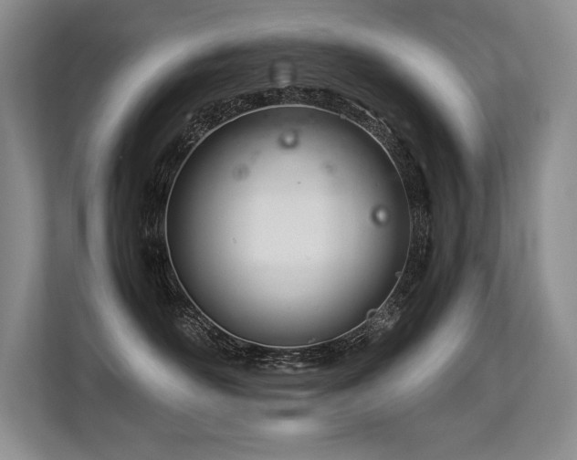 X0000113560526200909181222