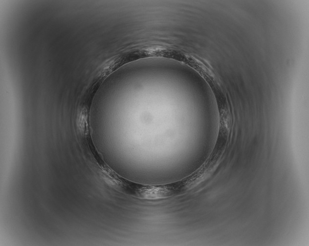 X0000113560527200909181222