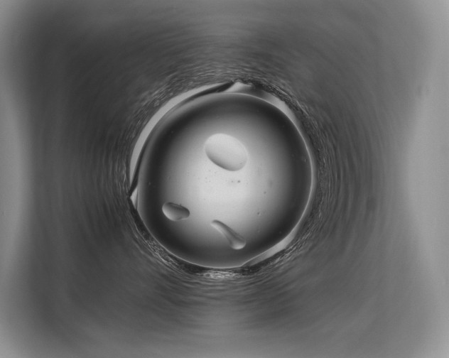 X0000113560528200909181222