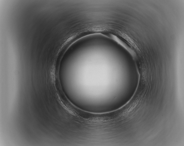 X0000113560530200909181221