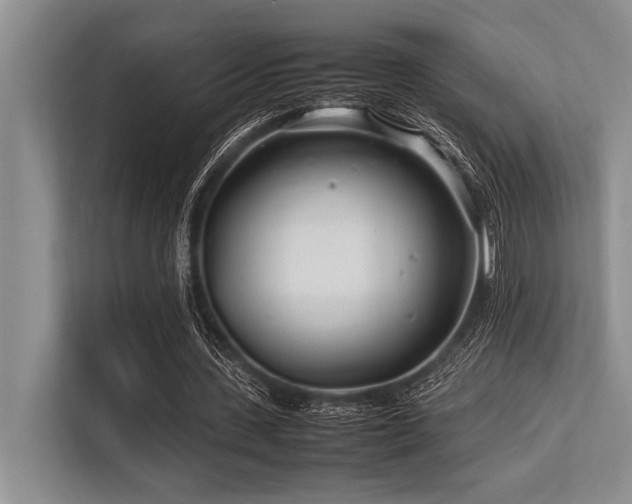 X0000113560531200909181221