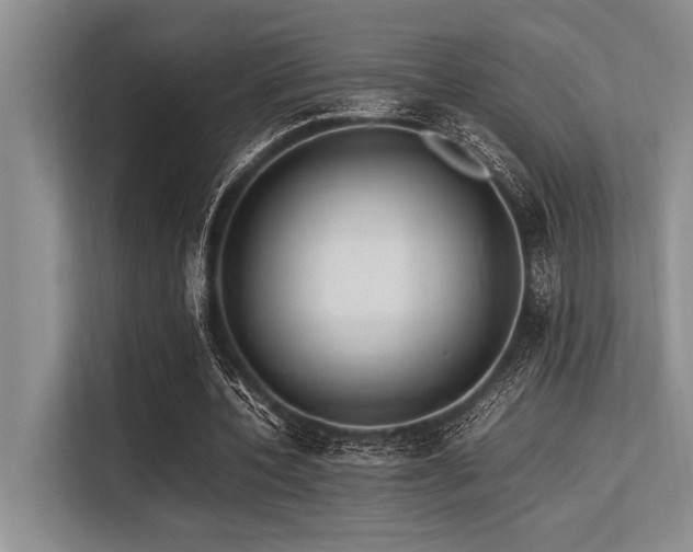 X0000113560532200909181221
