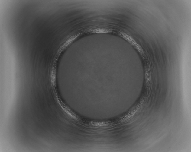X0000113560533200909181221