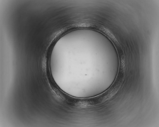 X0000113560534200909181221