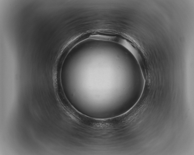 X0000113560535200909181221