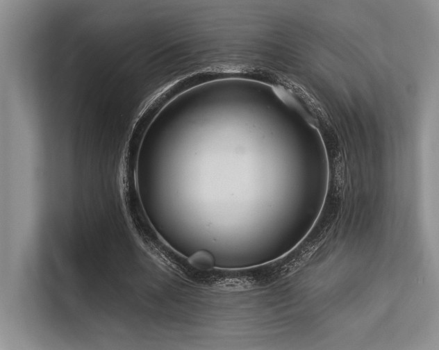 X0000113560536200909181221