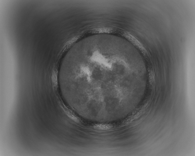 X0000113560537200909181221