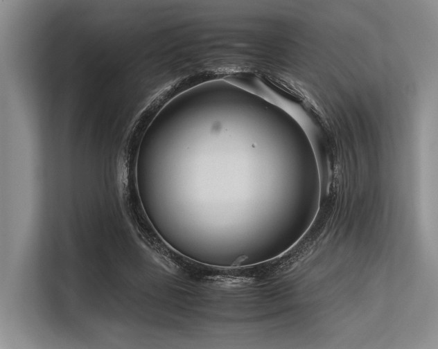 X0000113560539200909181221