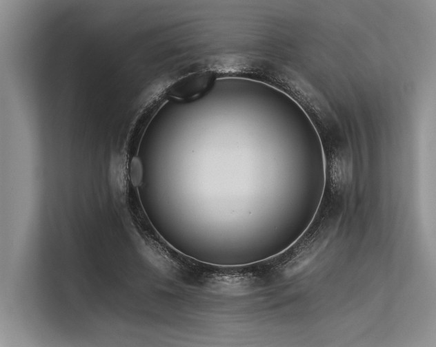 X0000113560540200909181221