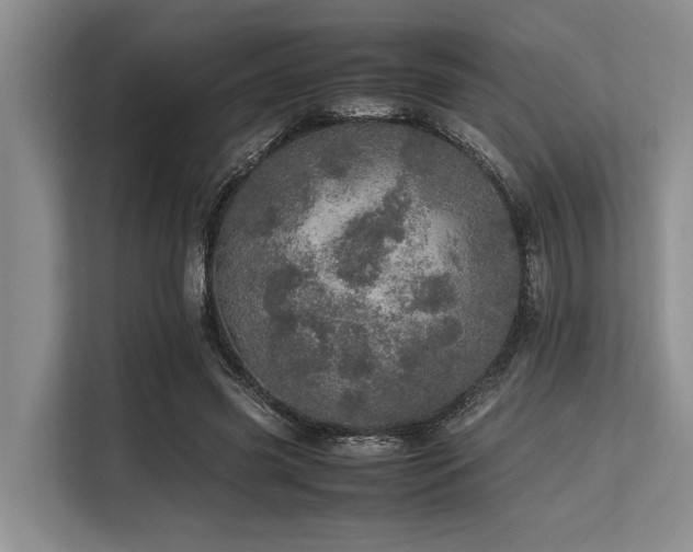 X0000113560541200909181221