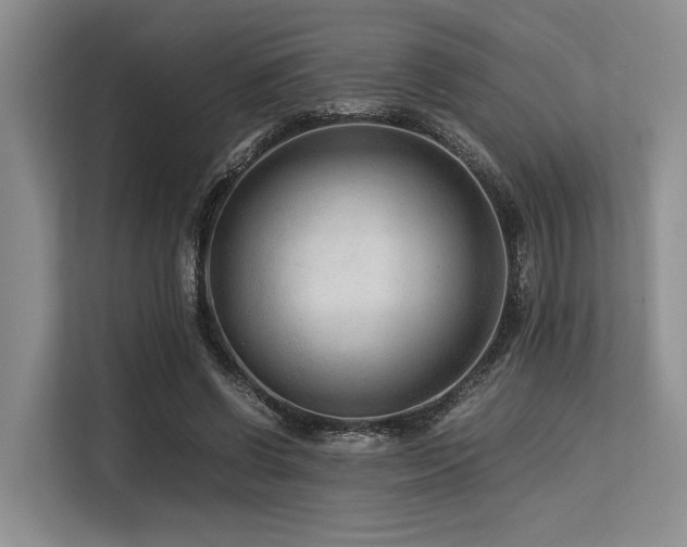 X0000113560542200909181221