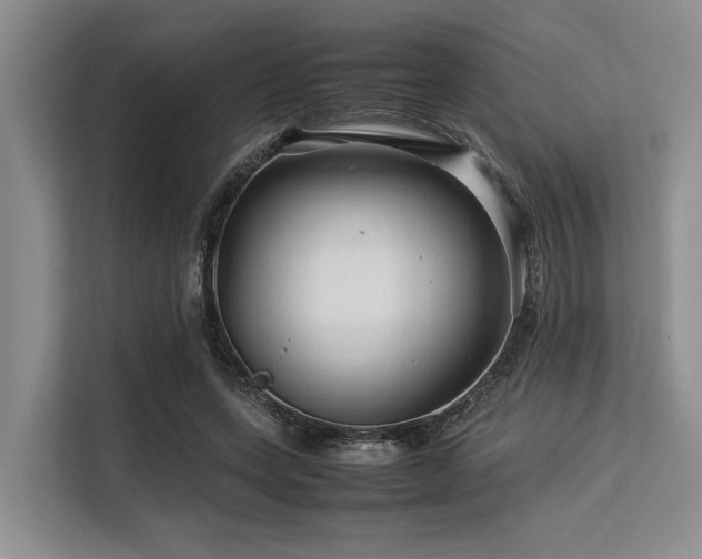 X0000113560543200909181221
