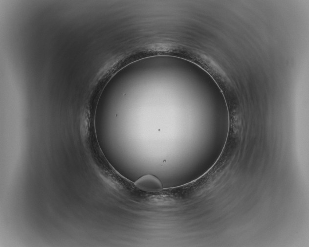 X0000113560544200909181221