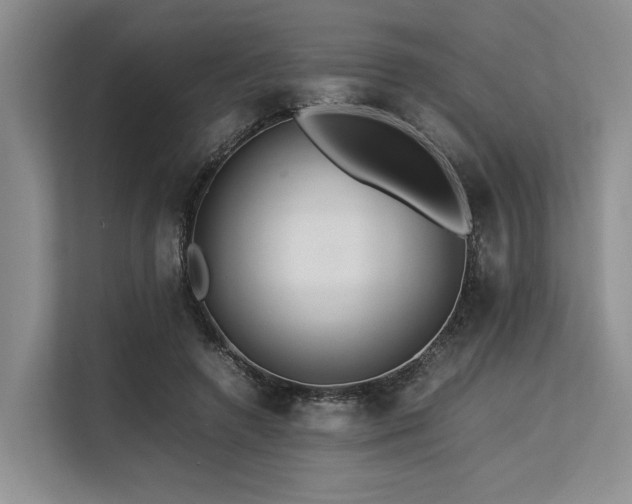 X0000113560546200909181221