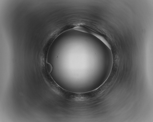 X0000113560547200909181221