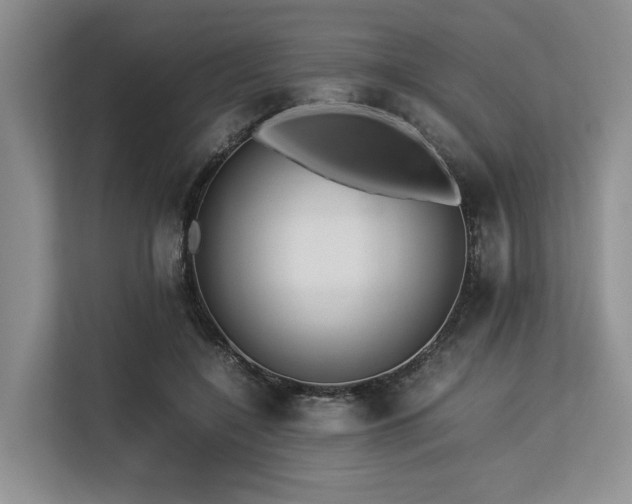 X0000113560548200909181221