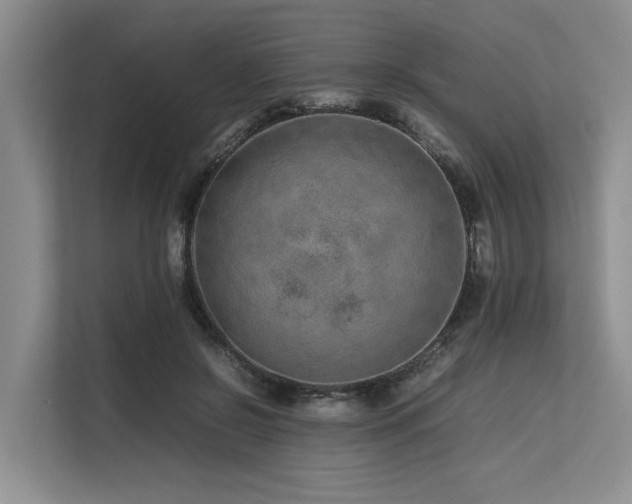 X0000113560550200909181221