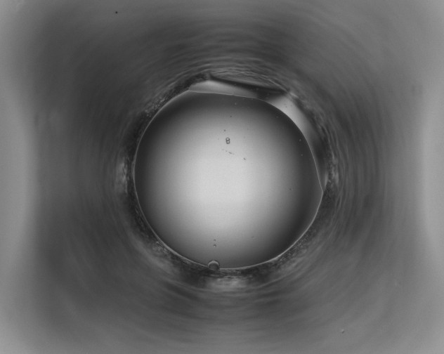 X0000113560551200909181221