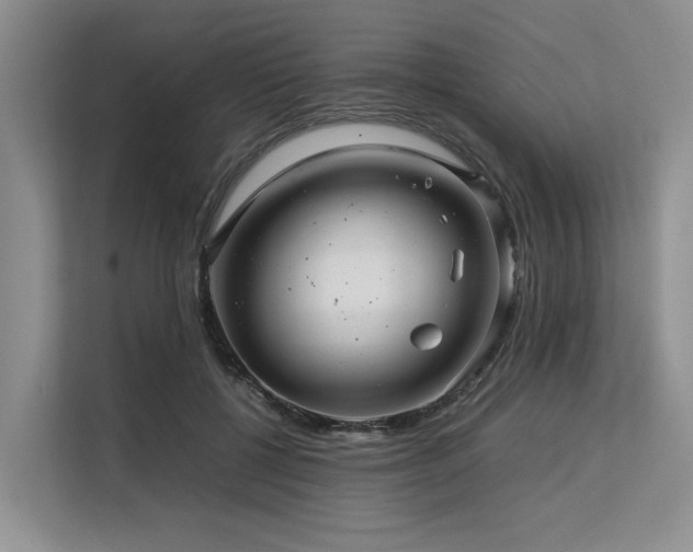 X0000113560552200909181221