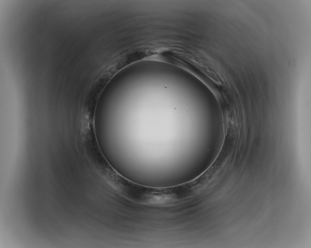 X0000113560555200909181222