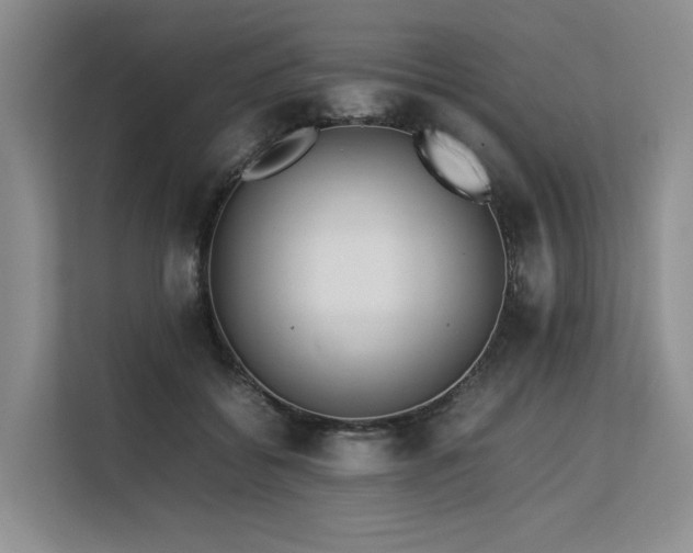 X0000113560556200909181222
