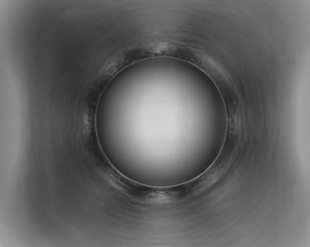 X0000113560558200909181222