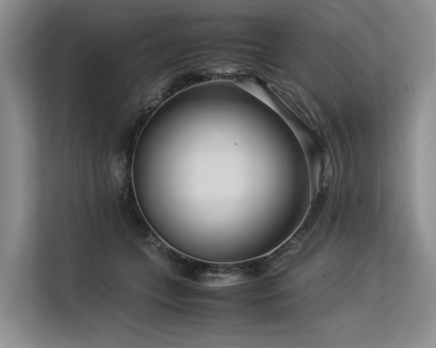 X0000113560559200909181222