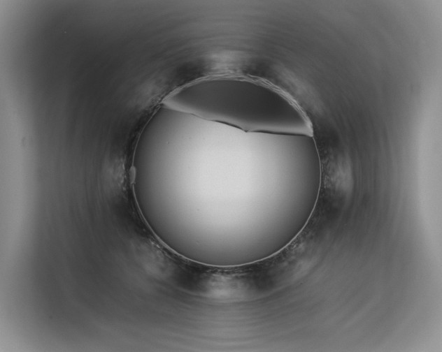 X0000113560560200909181222