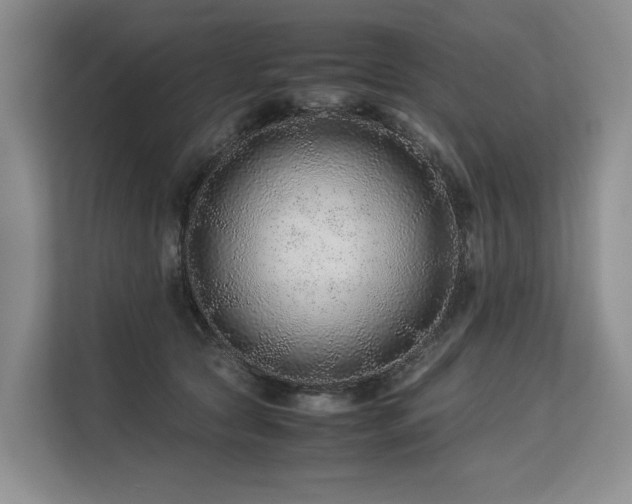 X0000113560561200909181222