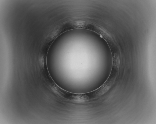 X0000113560562200909181222