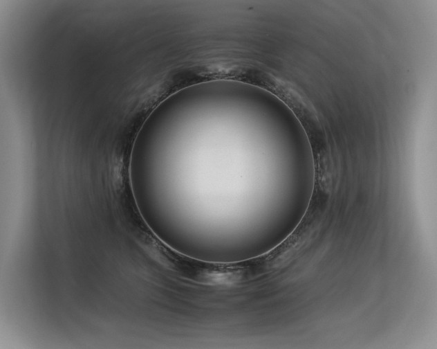 X0000113560563200909181222