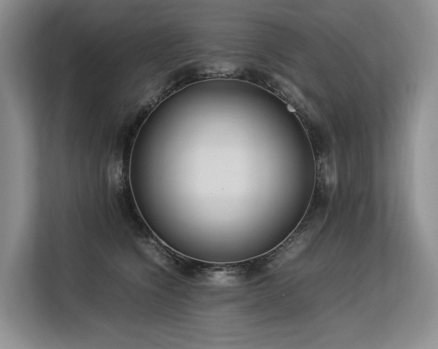 X0000113560564200909181222