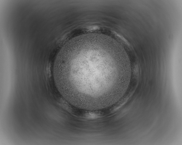 X0000113560565200909181222