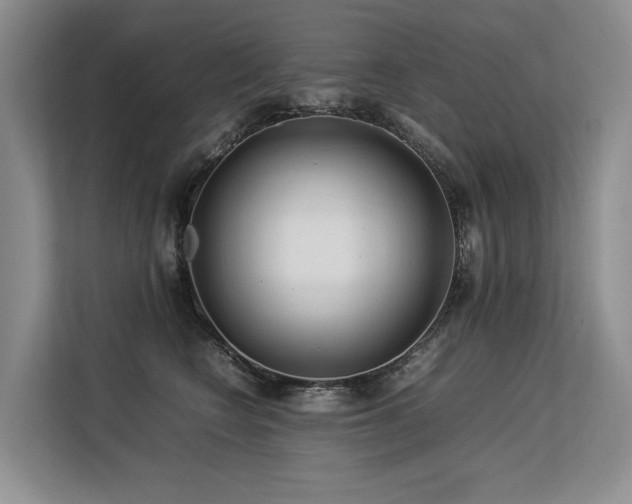 X0000113560566200909181222