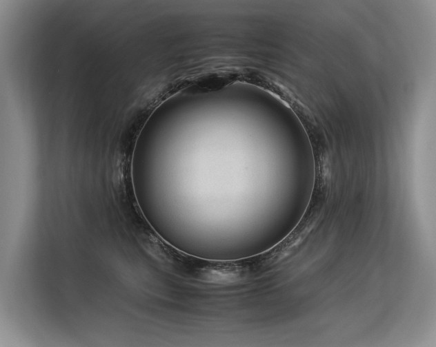 X0000113560567200909181222