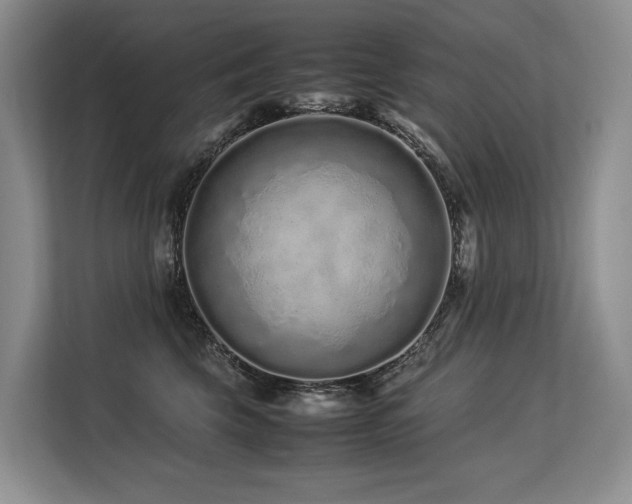X0000113560569200909181222
