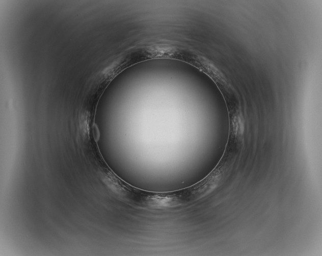 X0000113560570200909181222