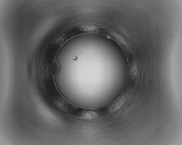 X0000113560572200909181222