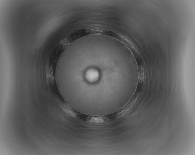X0000113560573200909181222