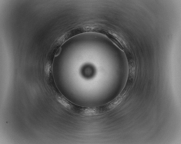 X0000113560574200909181222