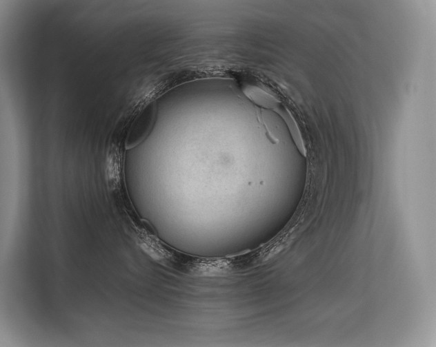 X0000113560576200909181222