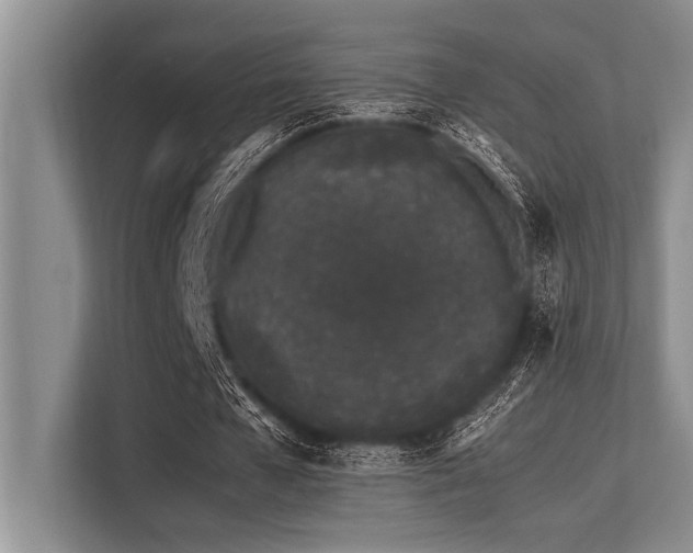 X0000113560577200909181221