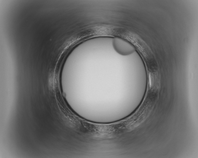 X0000113560579200909181221