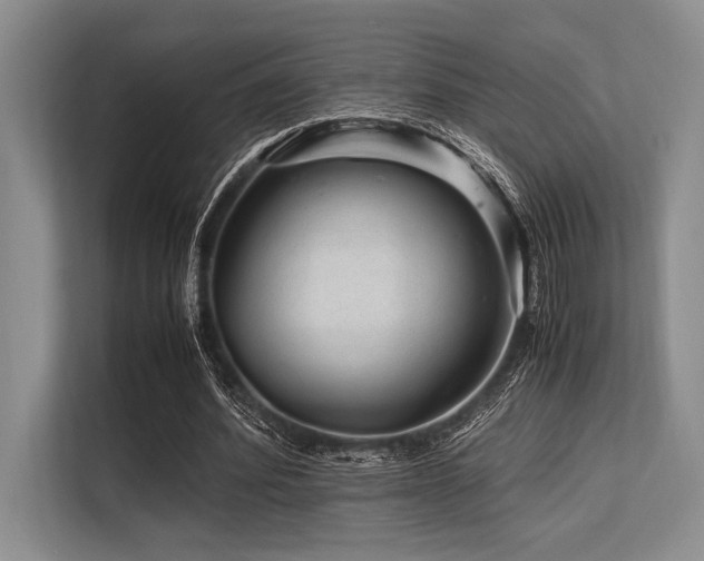 X0000113560580200909181221
