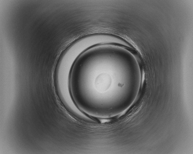 X0000113560581200909181221