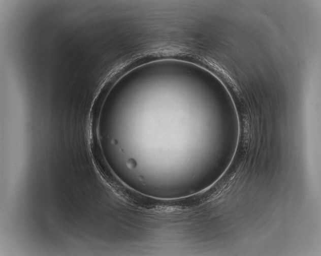 X0000113560582200909181221